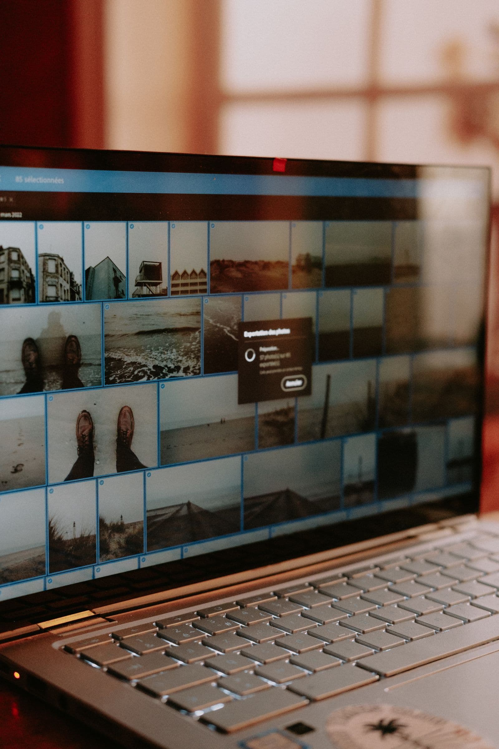 Laptop screen displaying photo editing software with images