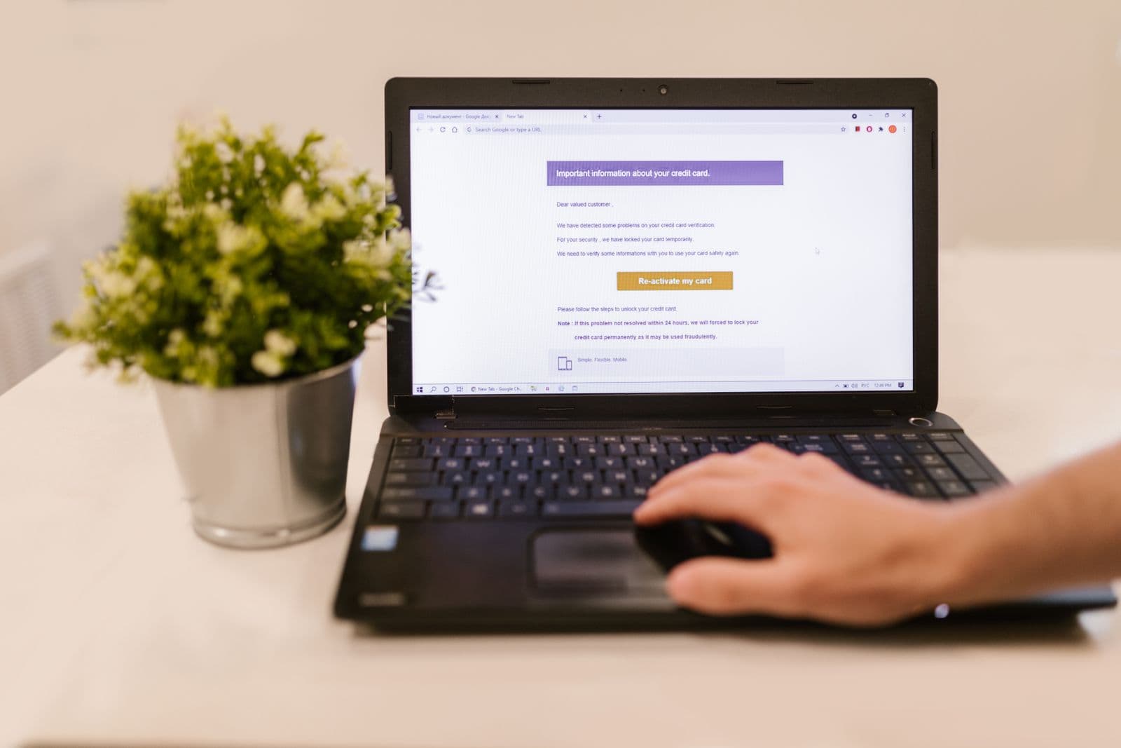 Person using a laptop indoors beside a potted plant